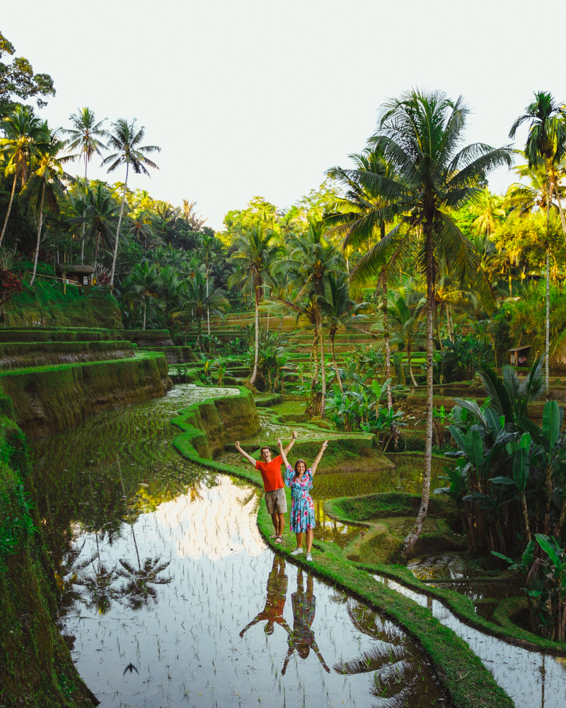 BaliRiceFieldsUs
